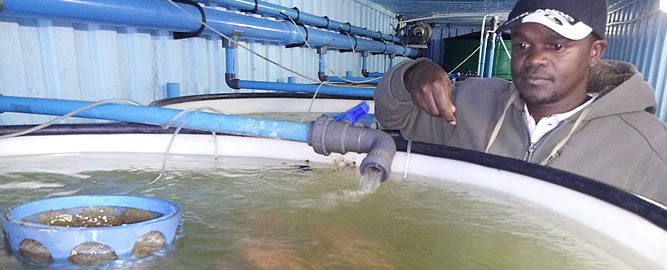 Prosperity through community based aquaculture